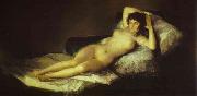 Francisco Jose de Goya The Nude Maja china oil painting reproduction